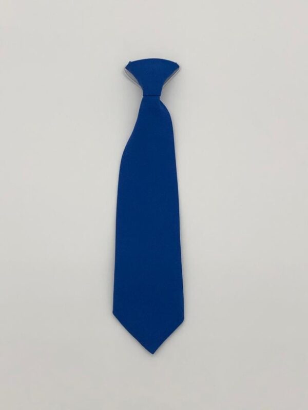 Royal blue school tie