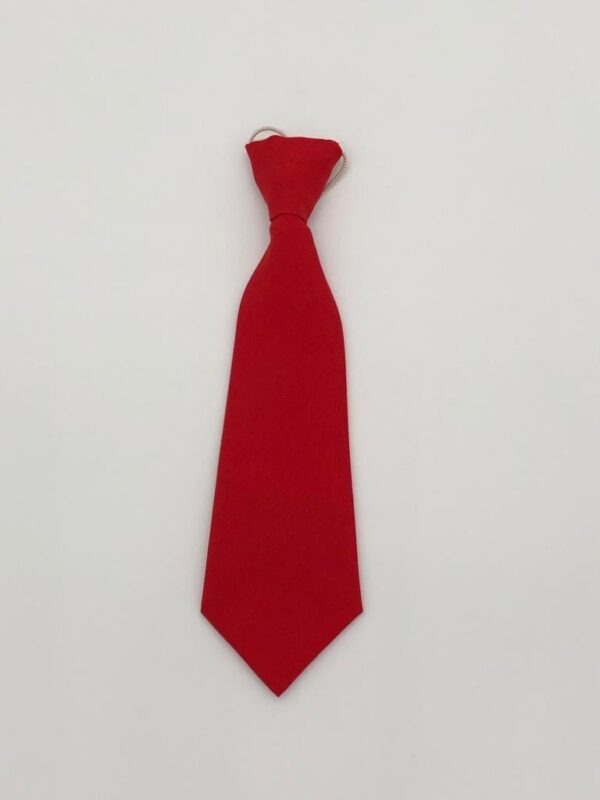 Red school tie